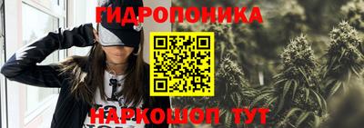 мяу мяу мука Аргун