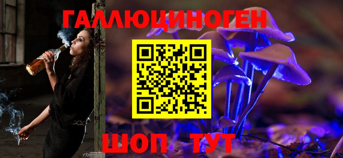 Псилоцибиновые грибы мухоморы Городец